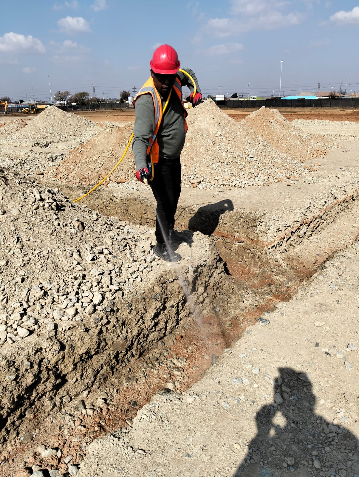 Residential rodent control